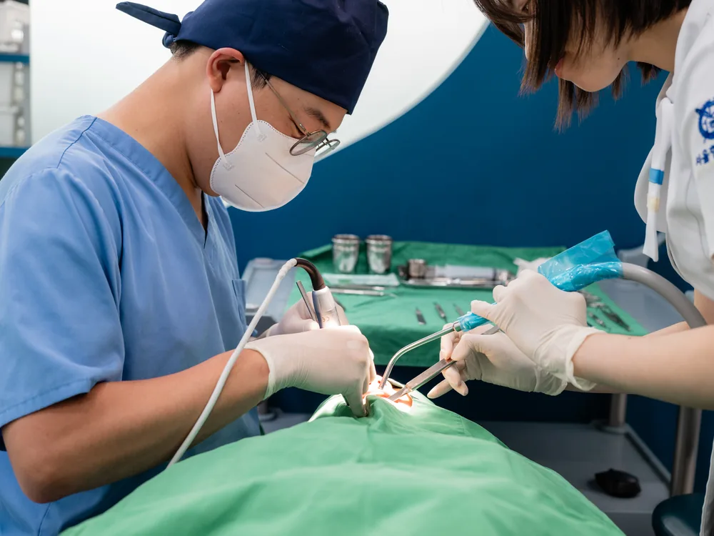 고난이도 임플란트